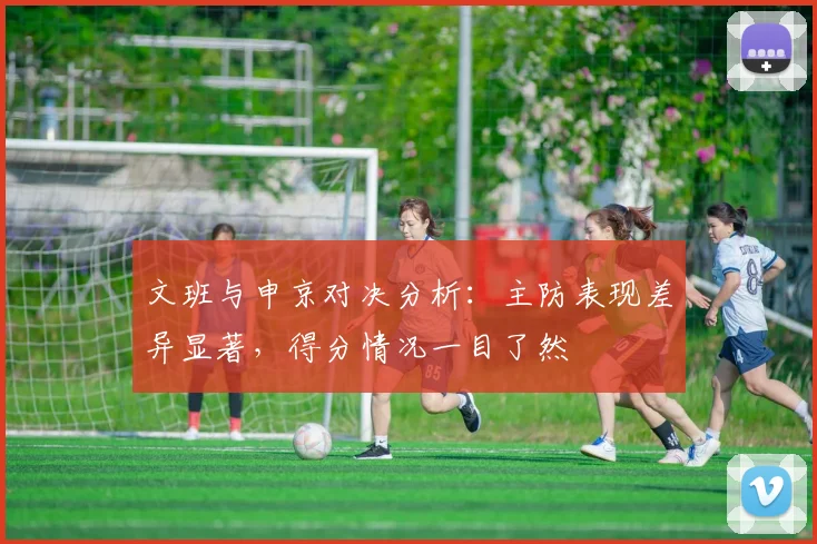文班与申京对决分析：主防表现差异显著，得分情况一目了然