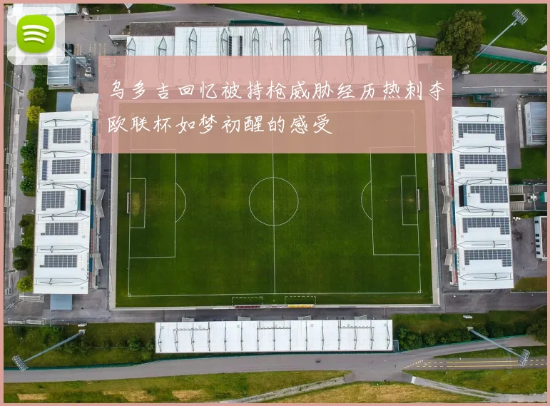 乌多吉回忆被持枪威胁经历热刺夺欧联杯如梦初醒的感受